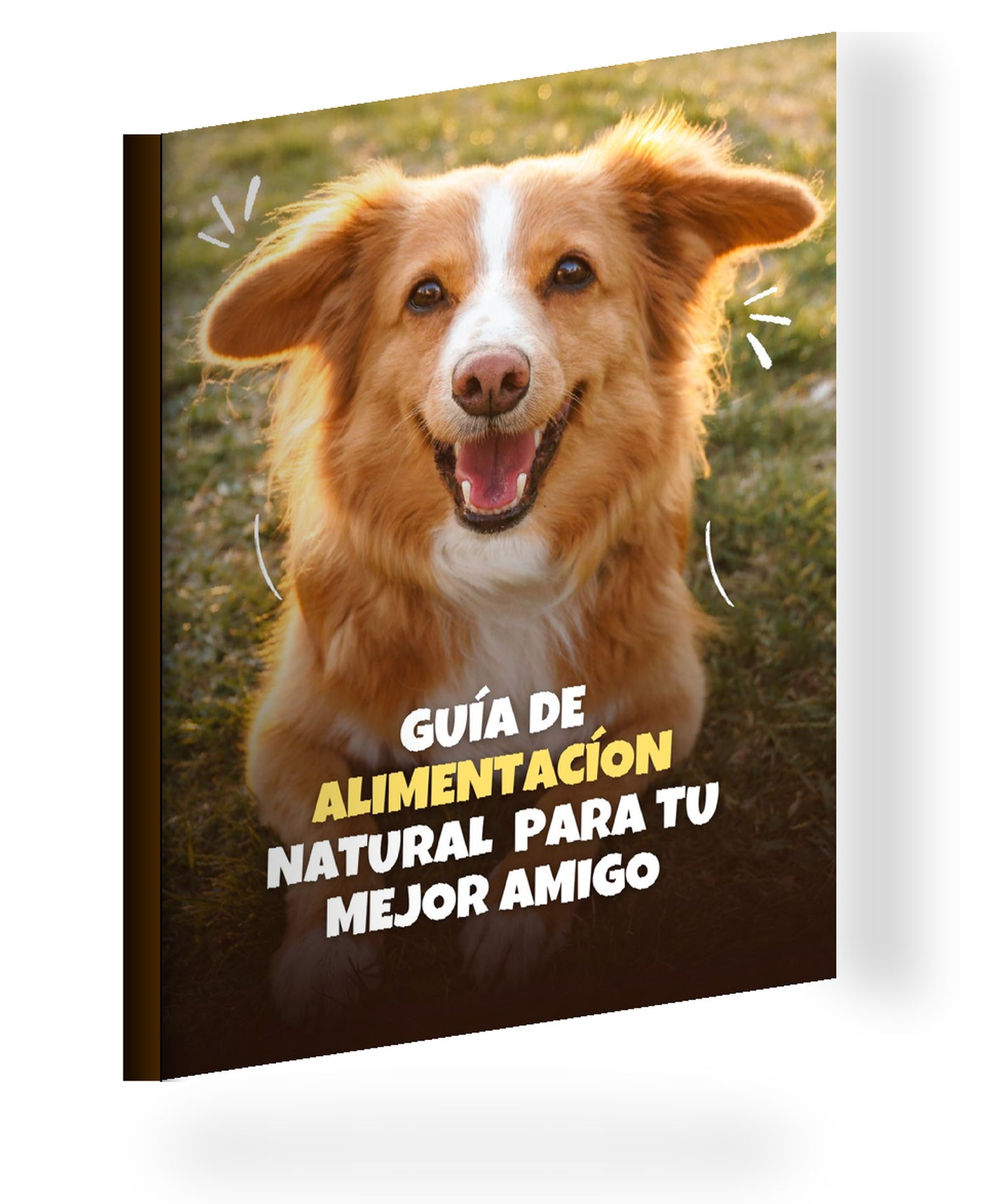 Guía Premium de Alimentación Canina